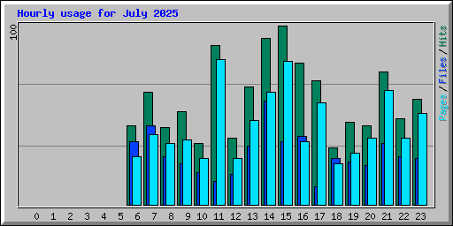 Hourly usage for July 2025